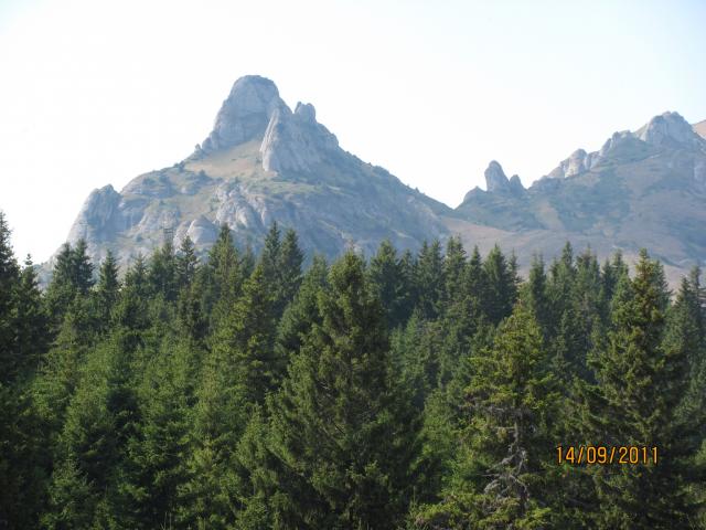 Ciucas 2011